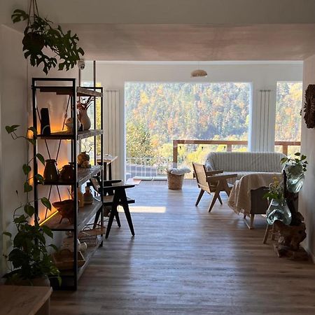 Shard Boutique Hotel-Adult Only Braşov Eksteriør bilde